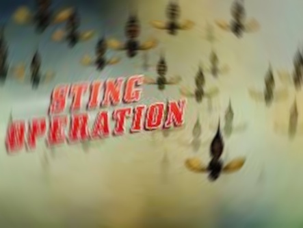 Sting Operation